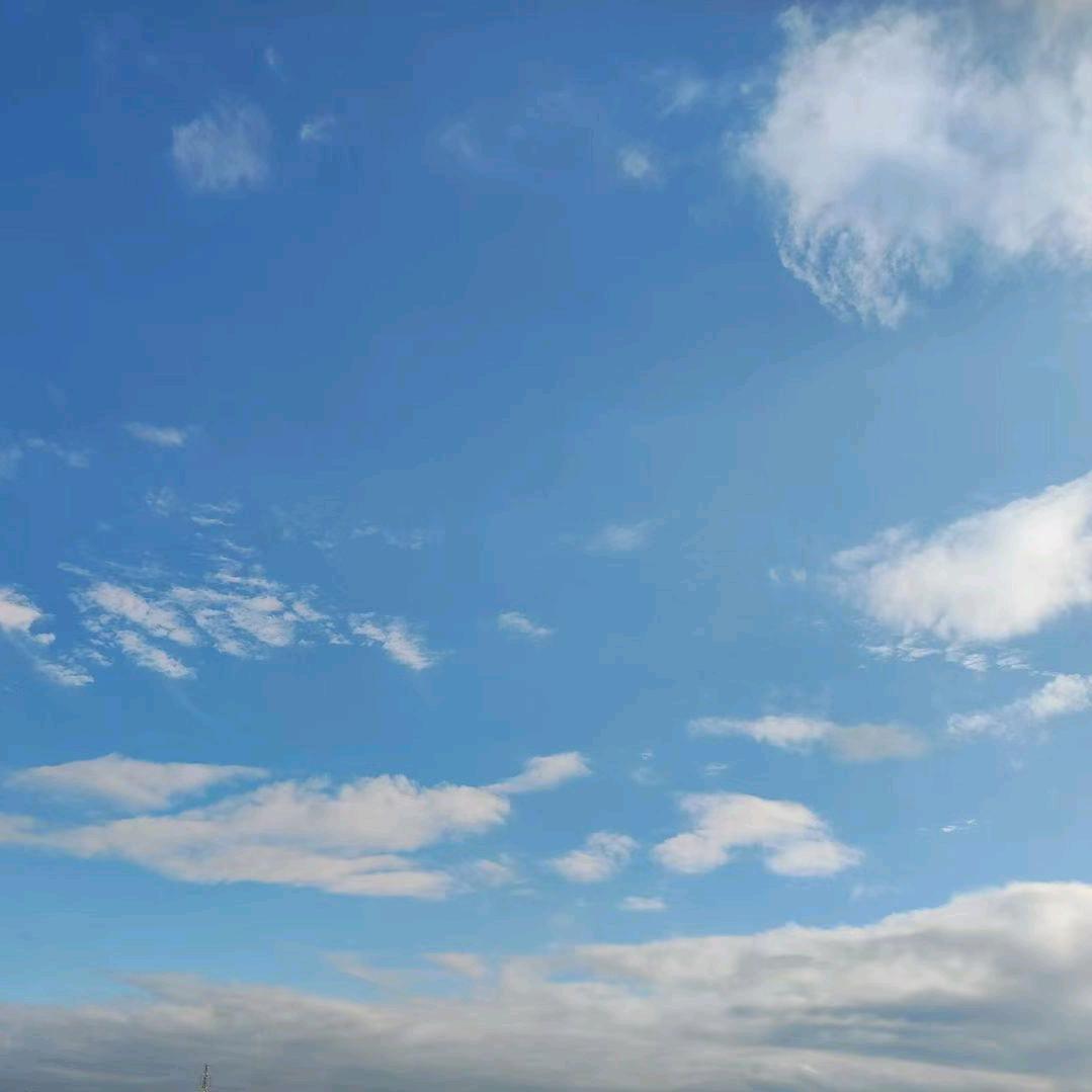 别在爱情里当傻瓜