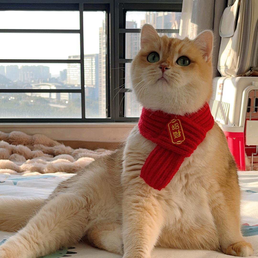 吃出轻食宇宙