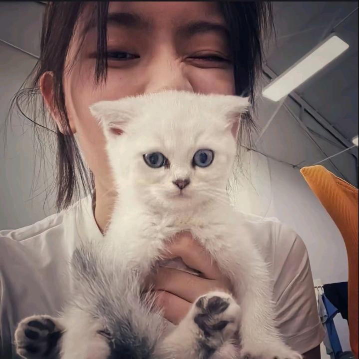 ღ𝒅é𝒓𝒊𝒗𝒆ོꦿ࿐