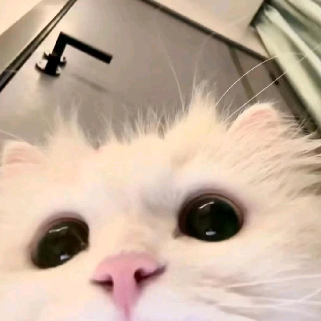 𝙇𝙞𝙆-w^