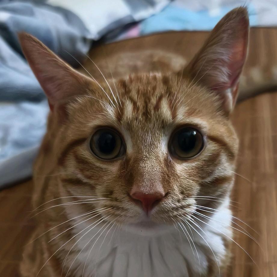 Oo黄老邪oO