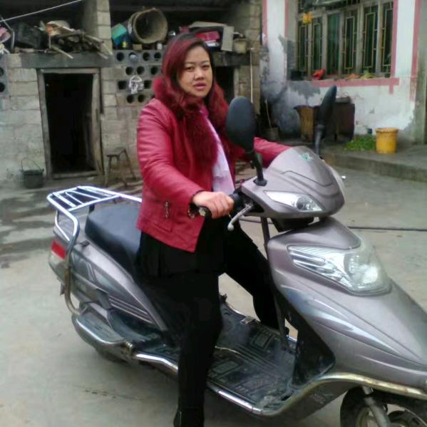 云淡风轻苦命的我