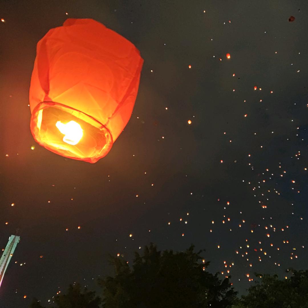 也无风雨也无晴