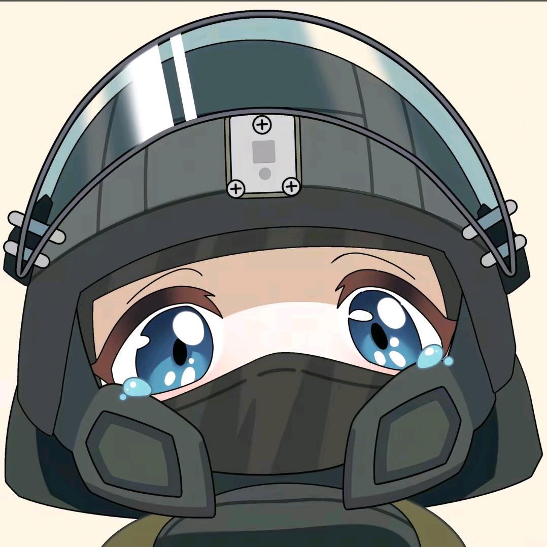 盾;