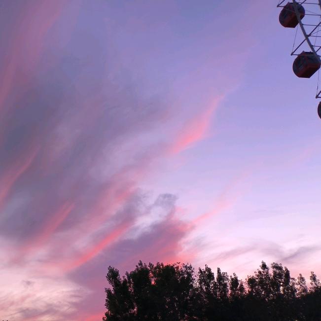 我的东西放哪了