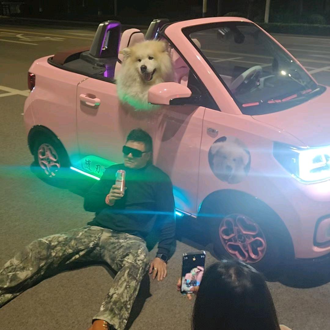 英雄联盟第一混子奶瓶猪