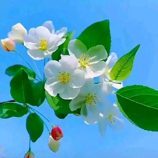 忘掉过去