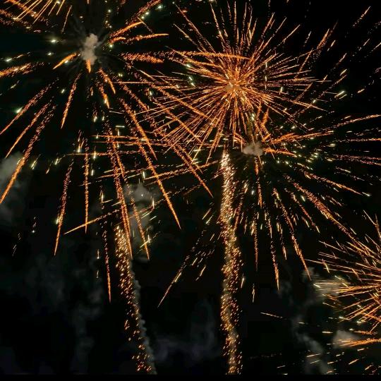 浏-阳小花花🎆