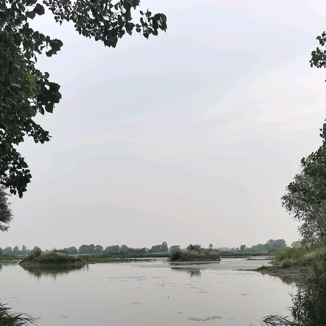 半生清醒