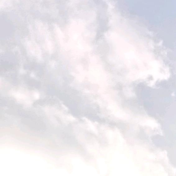 天空无限🐻
