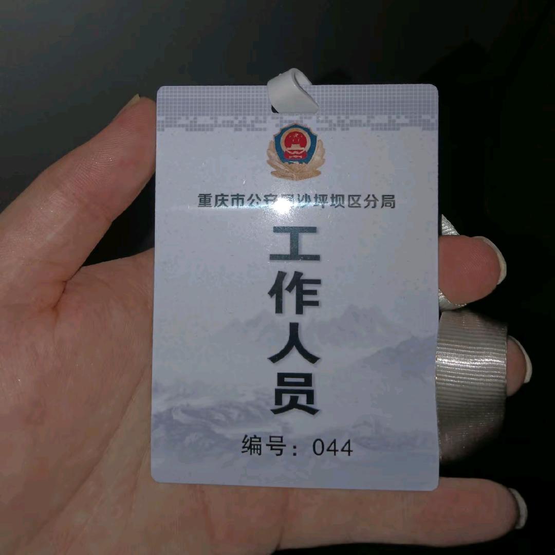 茶茶