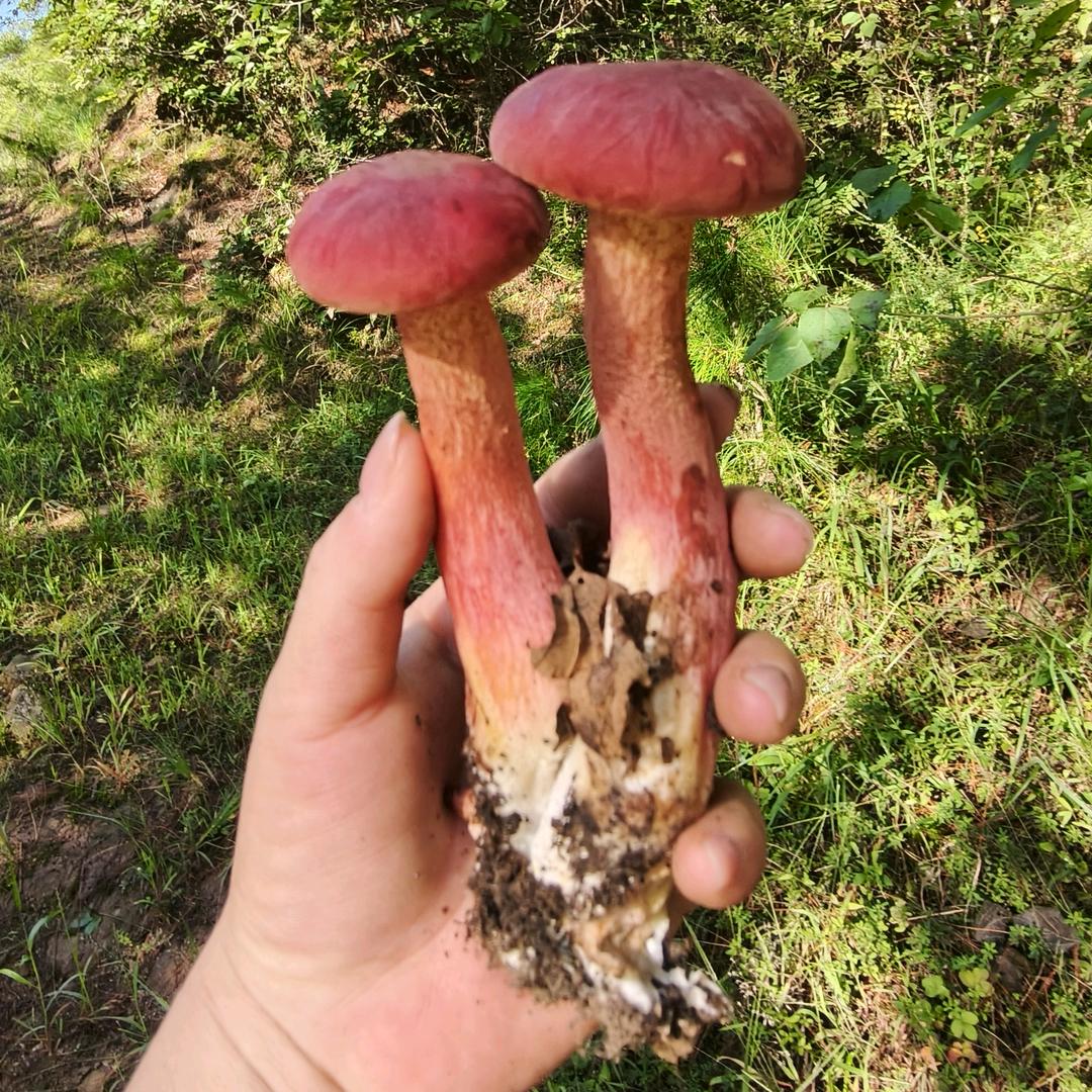 💖梦 洅ᵕ钱 行💦
