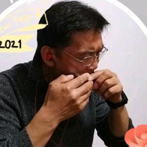 琴声张扬