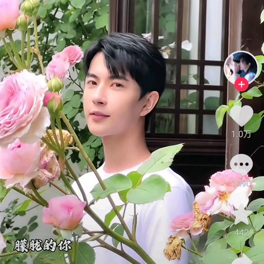 1988615胧儿