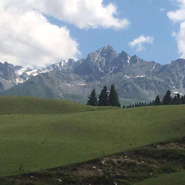 北方驾校田教练