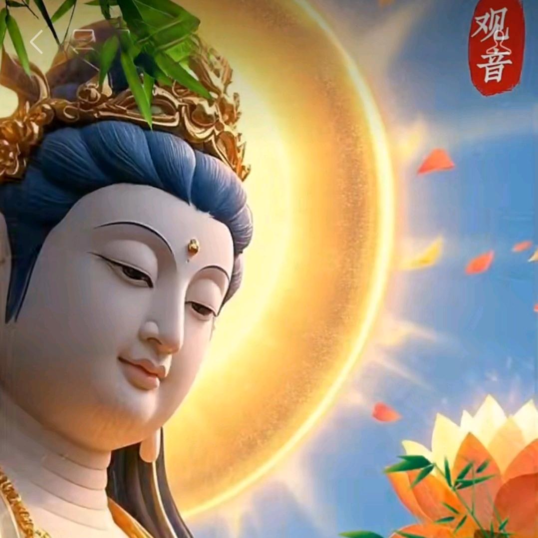 慧志