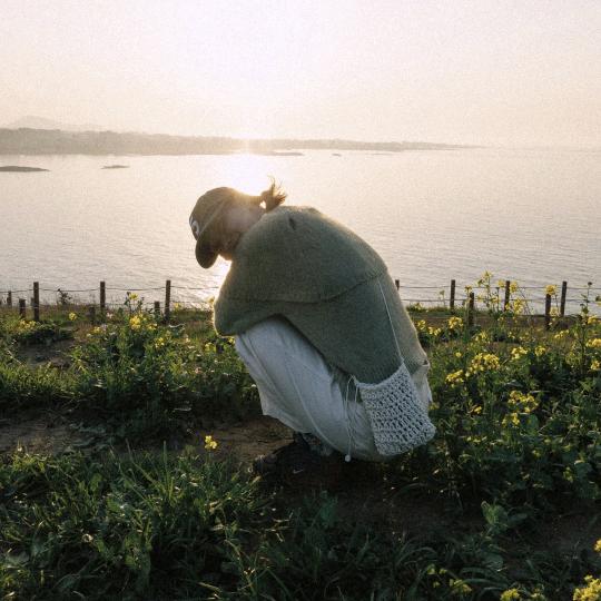 28日种菜
