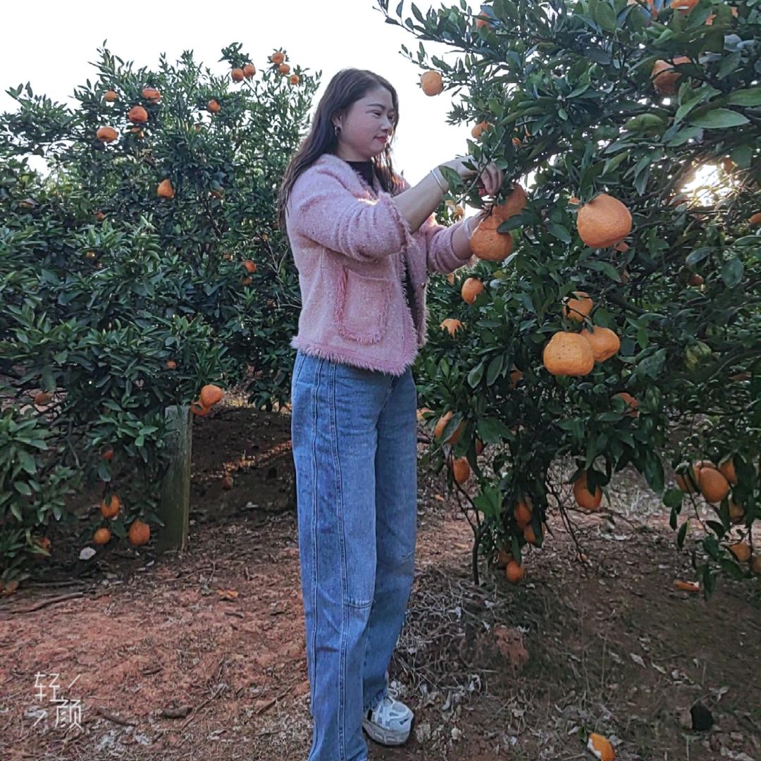 小梅通讯(橱窗有好物)