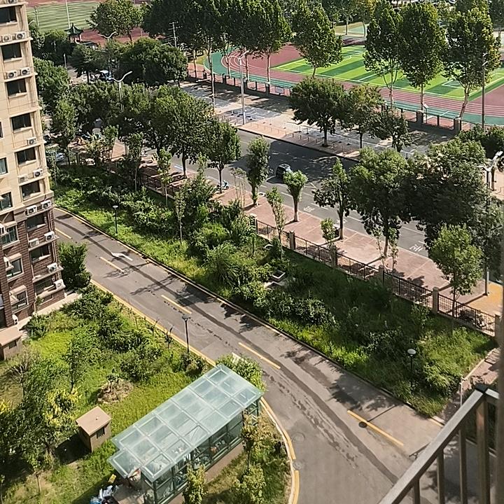 情为天