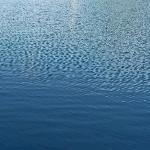 娱乐圈的那点事