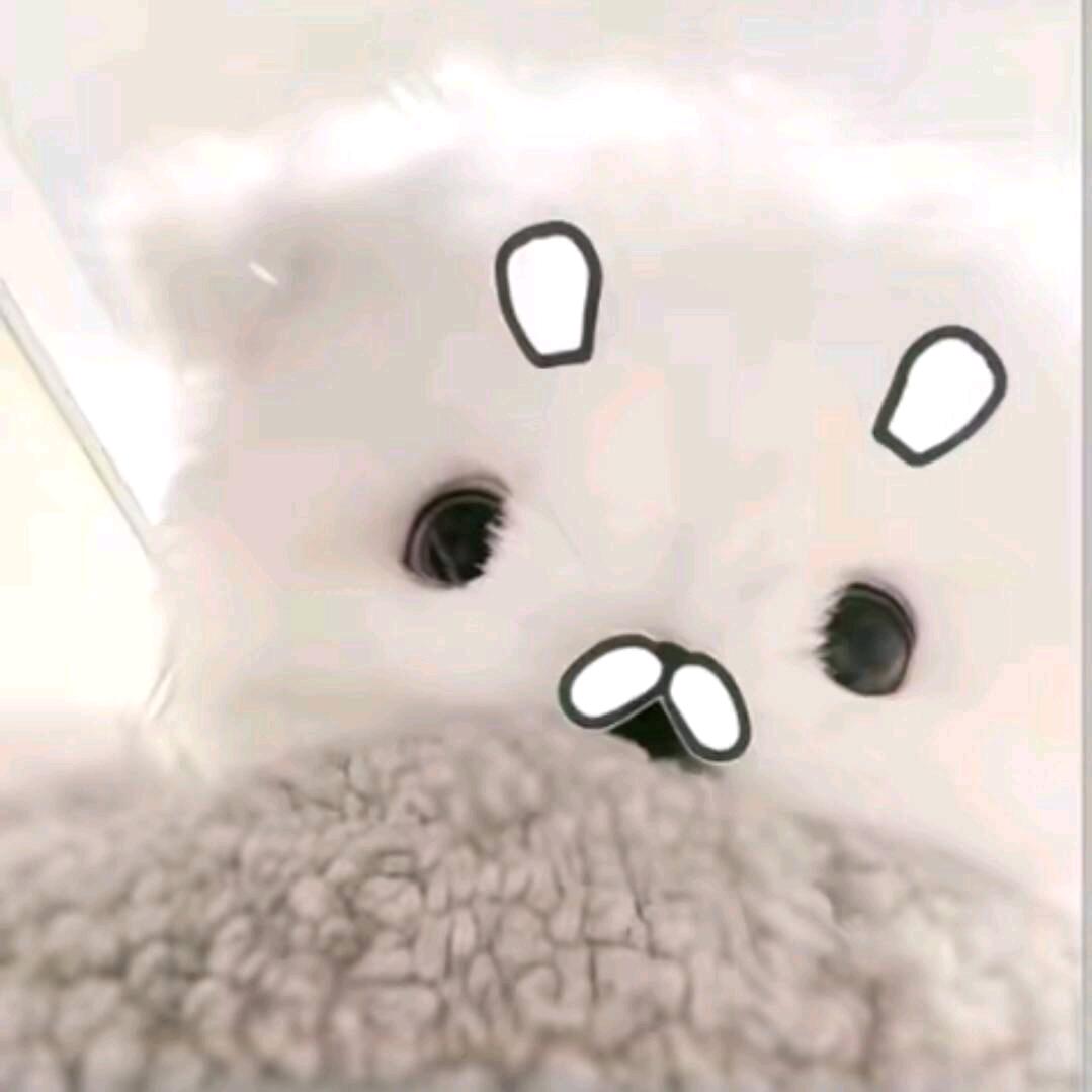 小瑞