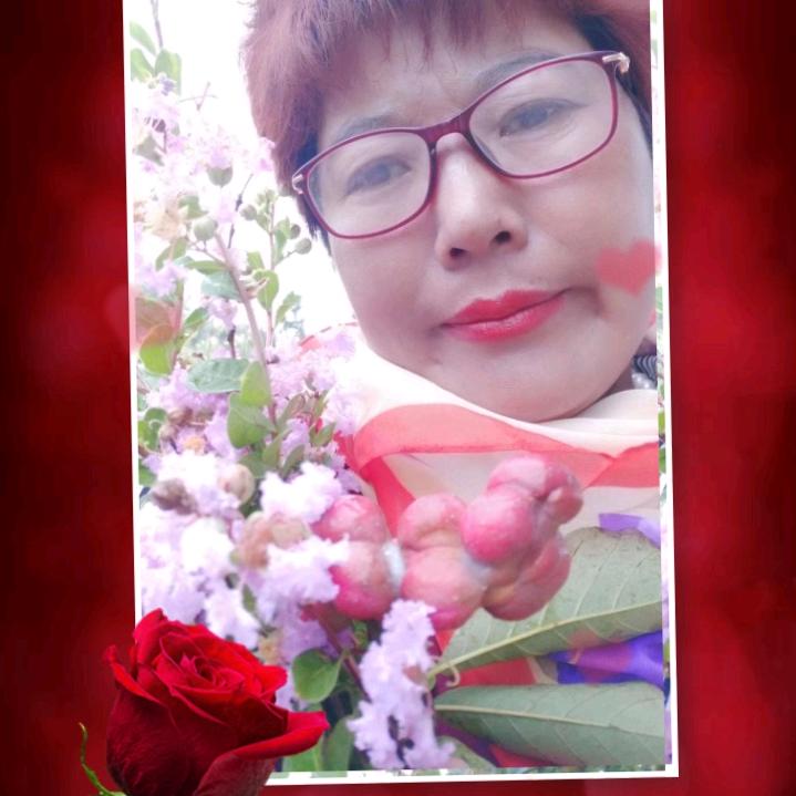 珍珍姐