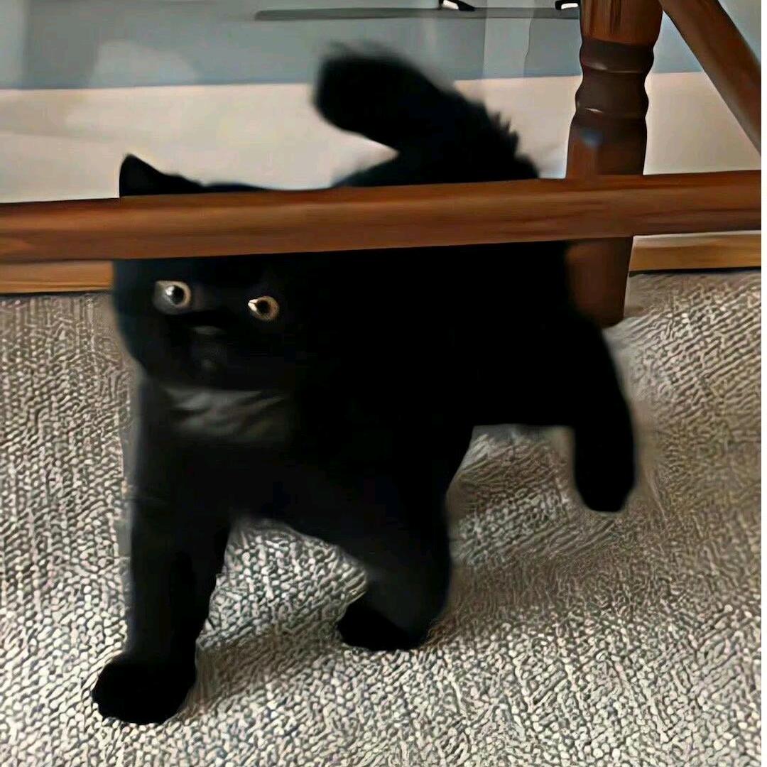 拉风鸡蛋落落大方