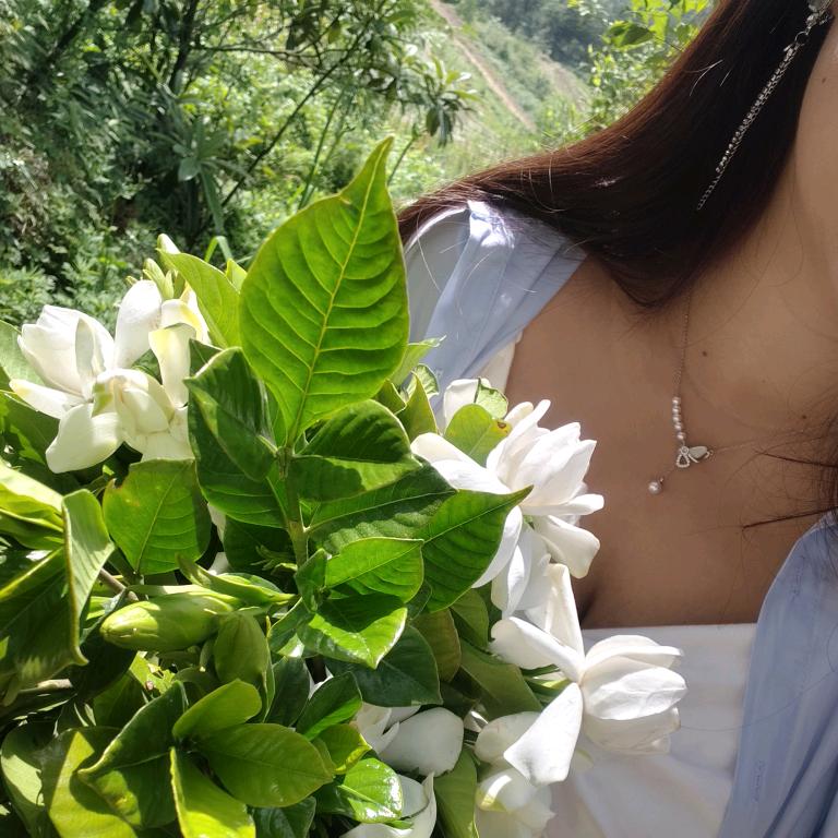 ✨是老张吖  ིྀ  🌕