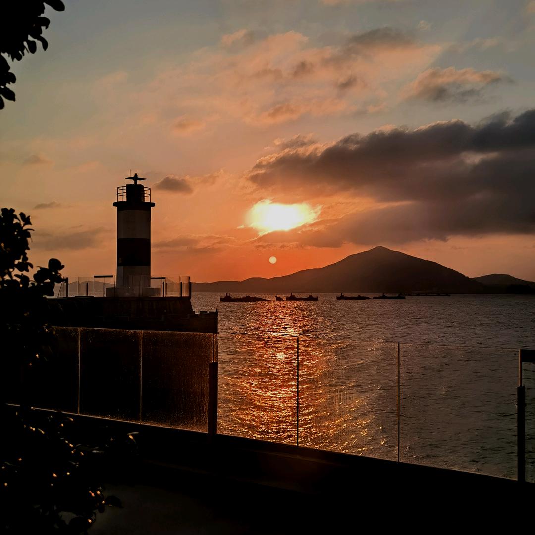 👨‍🌾 绿耕👨‍🌾新农人