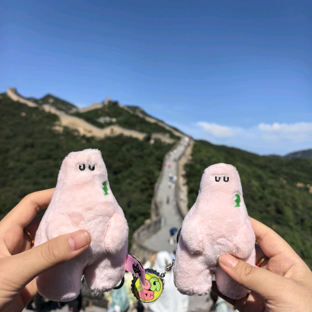 莱阳多多(王源鸟巢有票版)