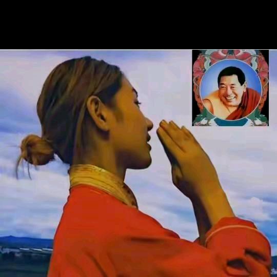 丽丽的宝贝