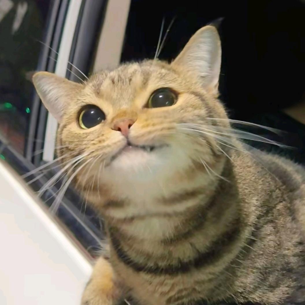 嗯呢