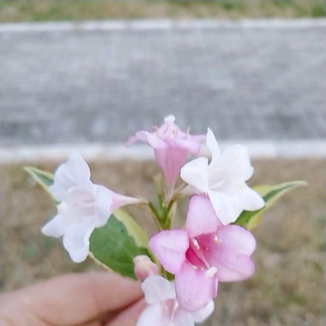 用户5896125218165