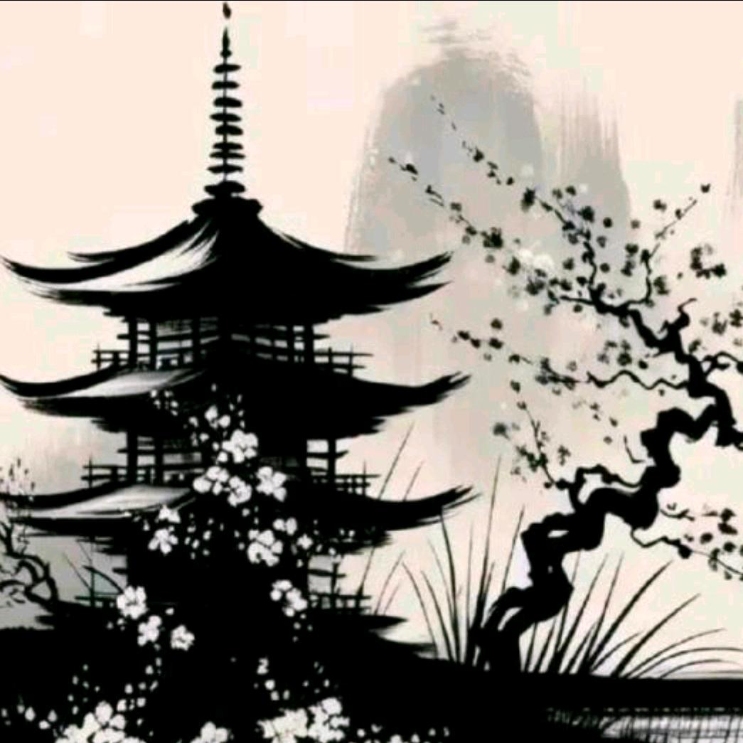 在旧金山游玩的四合木