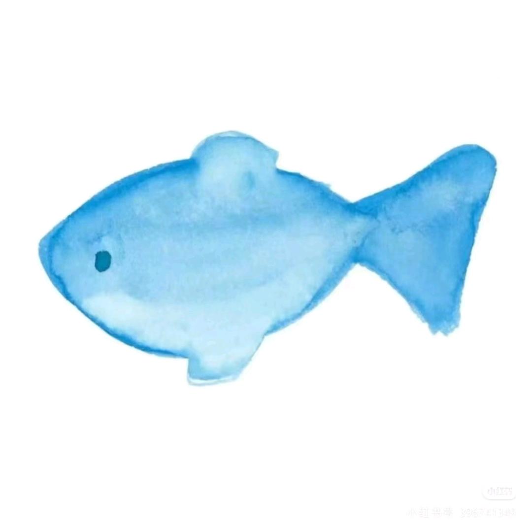小鱼游游游