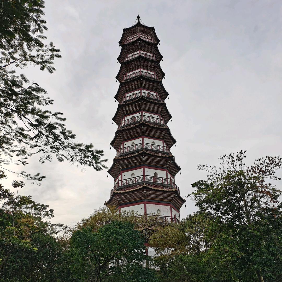 双胞胎奇缘的知青姜头像