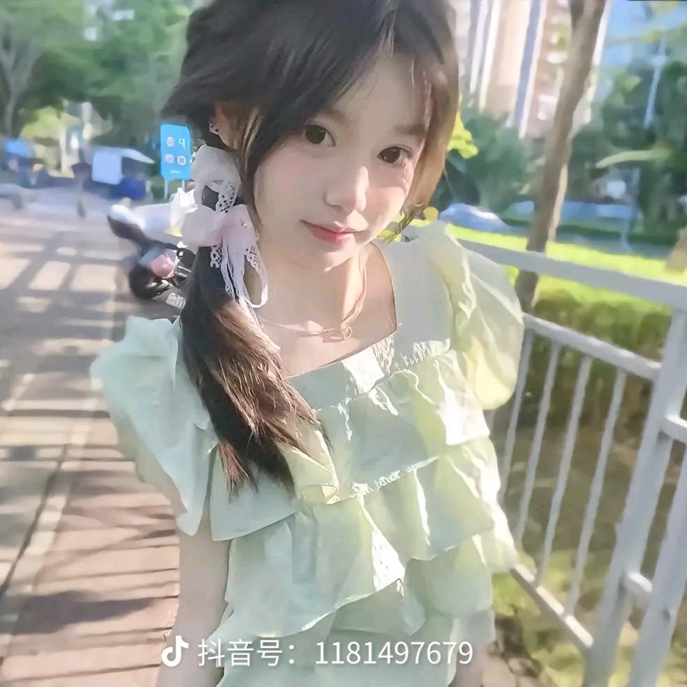 鲨鱼宝宝