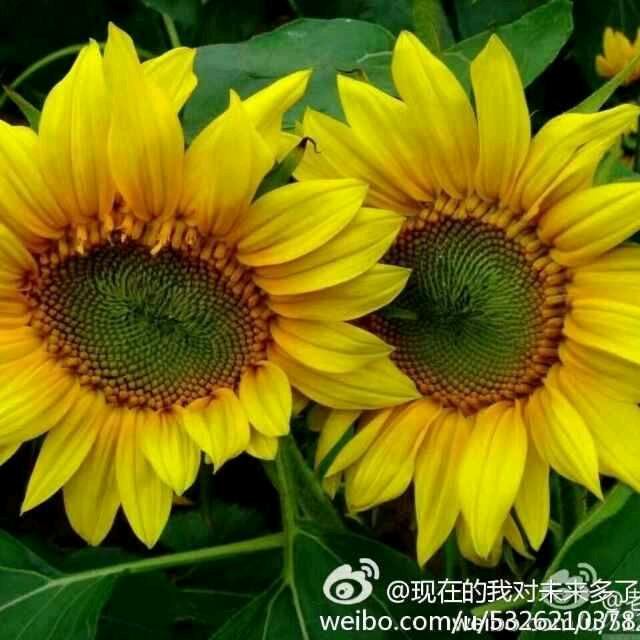 快乐一生