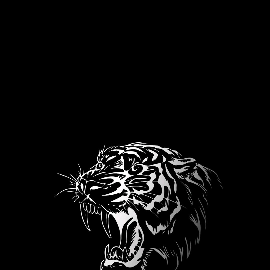 范先生🐯