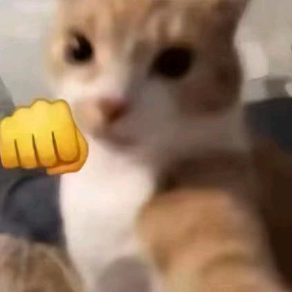 讨厌猴子