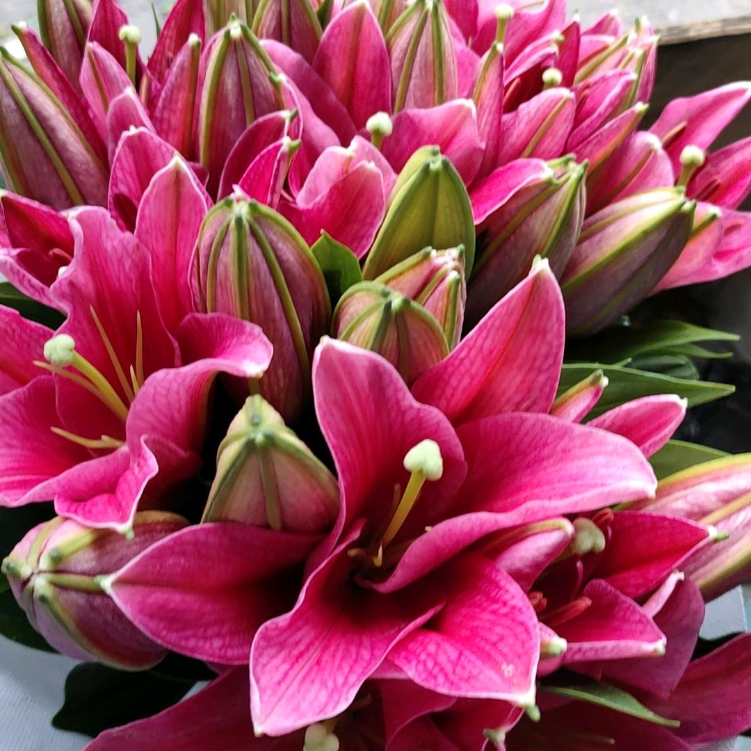 流浪在外拼搏的人。