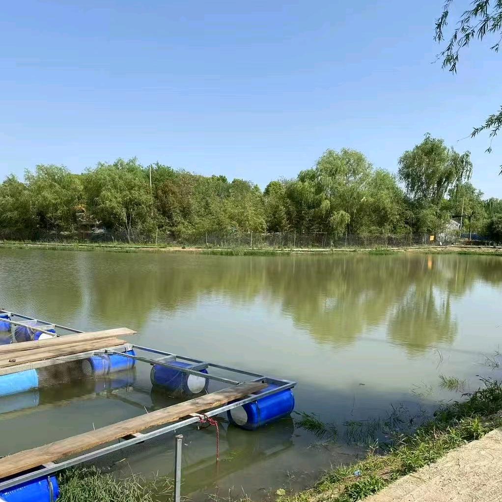 兴旺欢乐休闲钓场