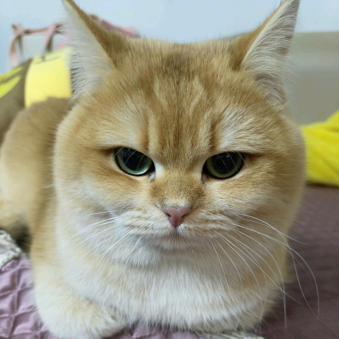 幸福女人