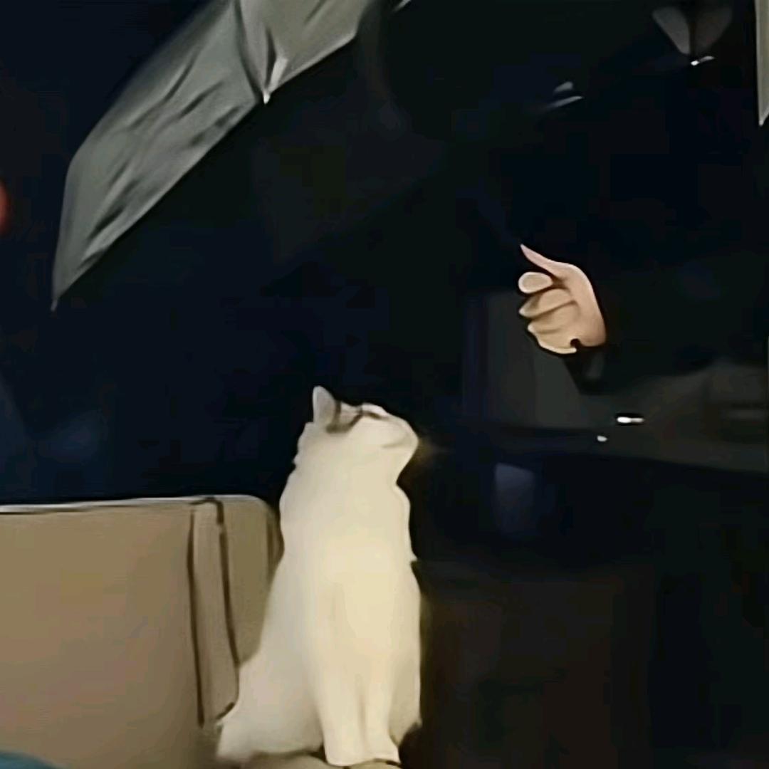 魈我老婆•雯