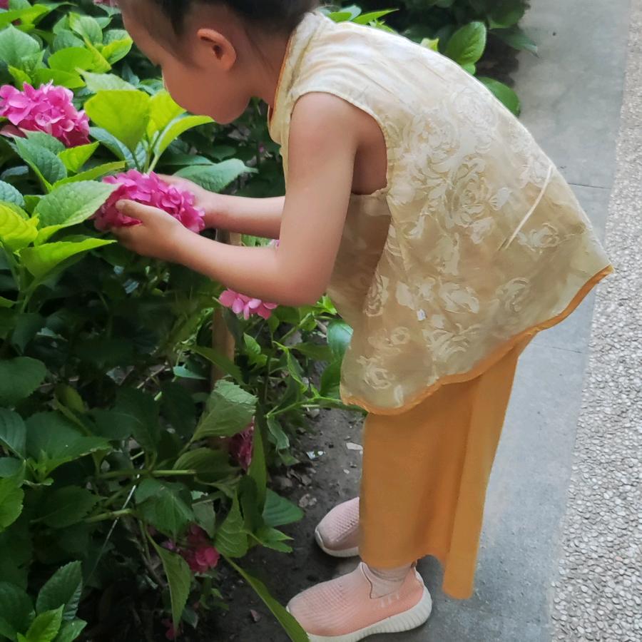 佑佑奶奶爱跳舞