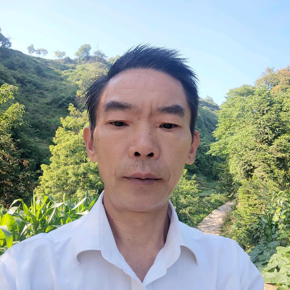 何哥（凌晨五点）