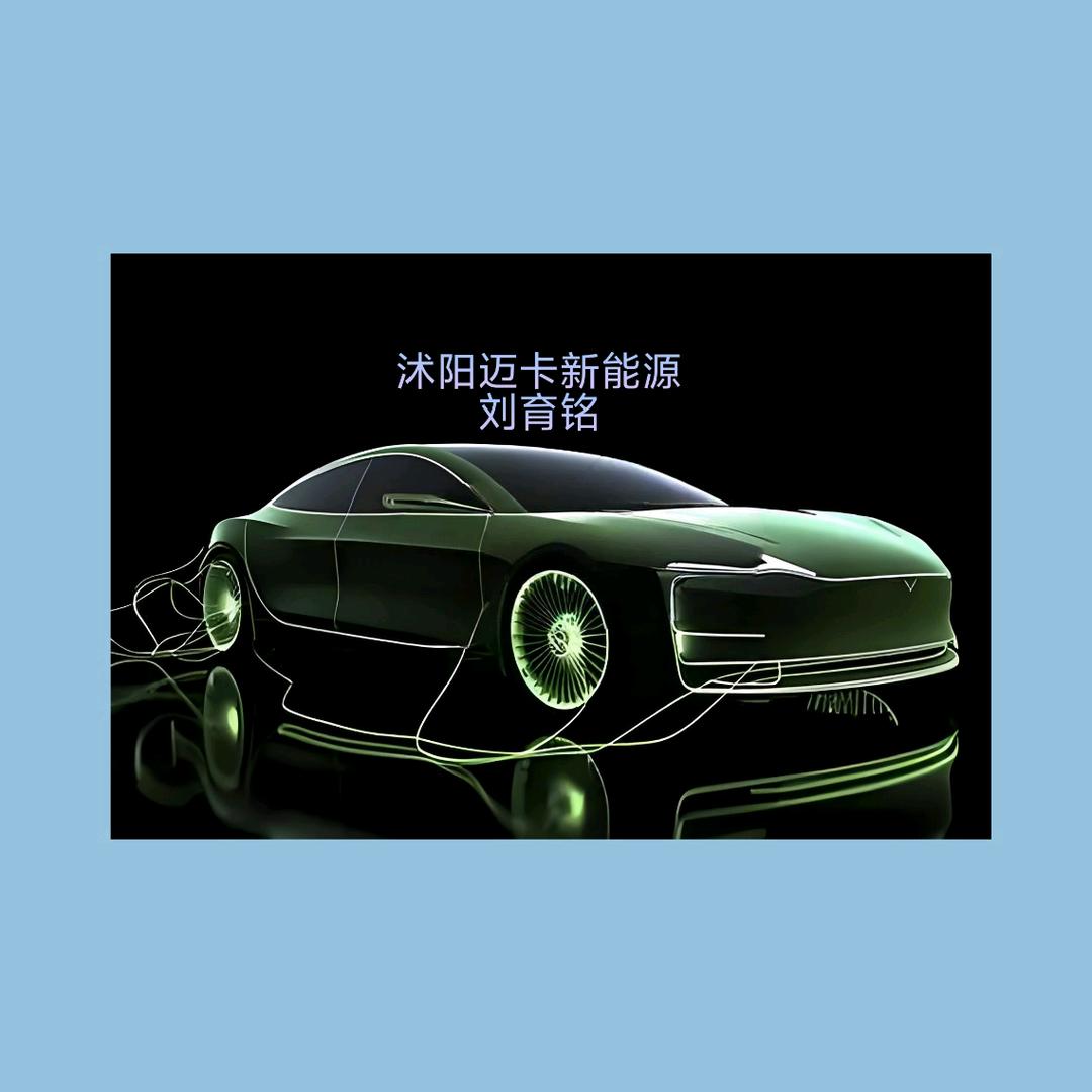 迈卡专注二手新能源 小刘