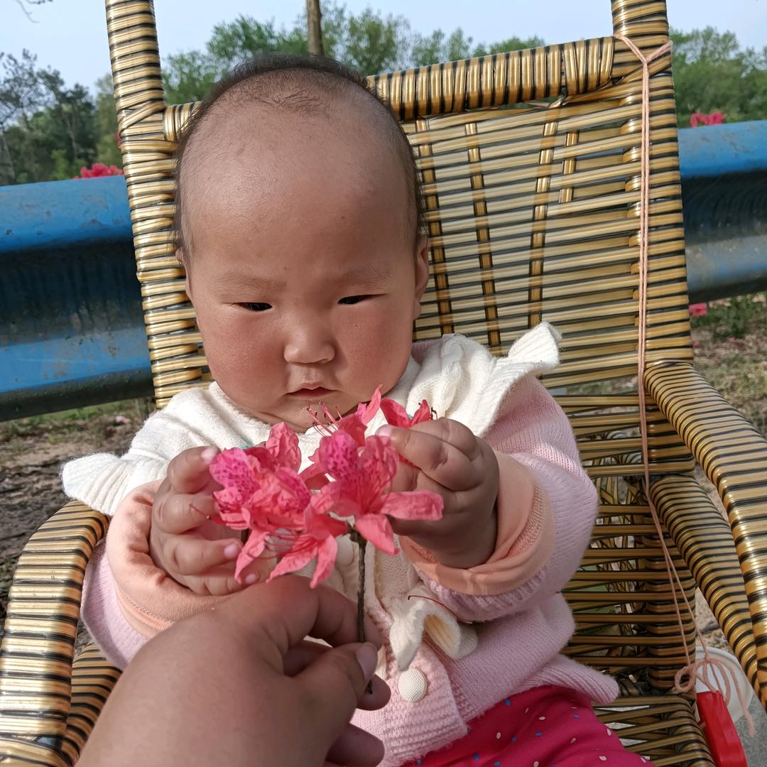 赵倩（首播）河南人