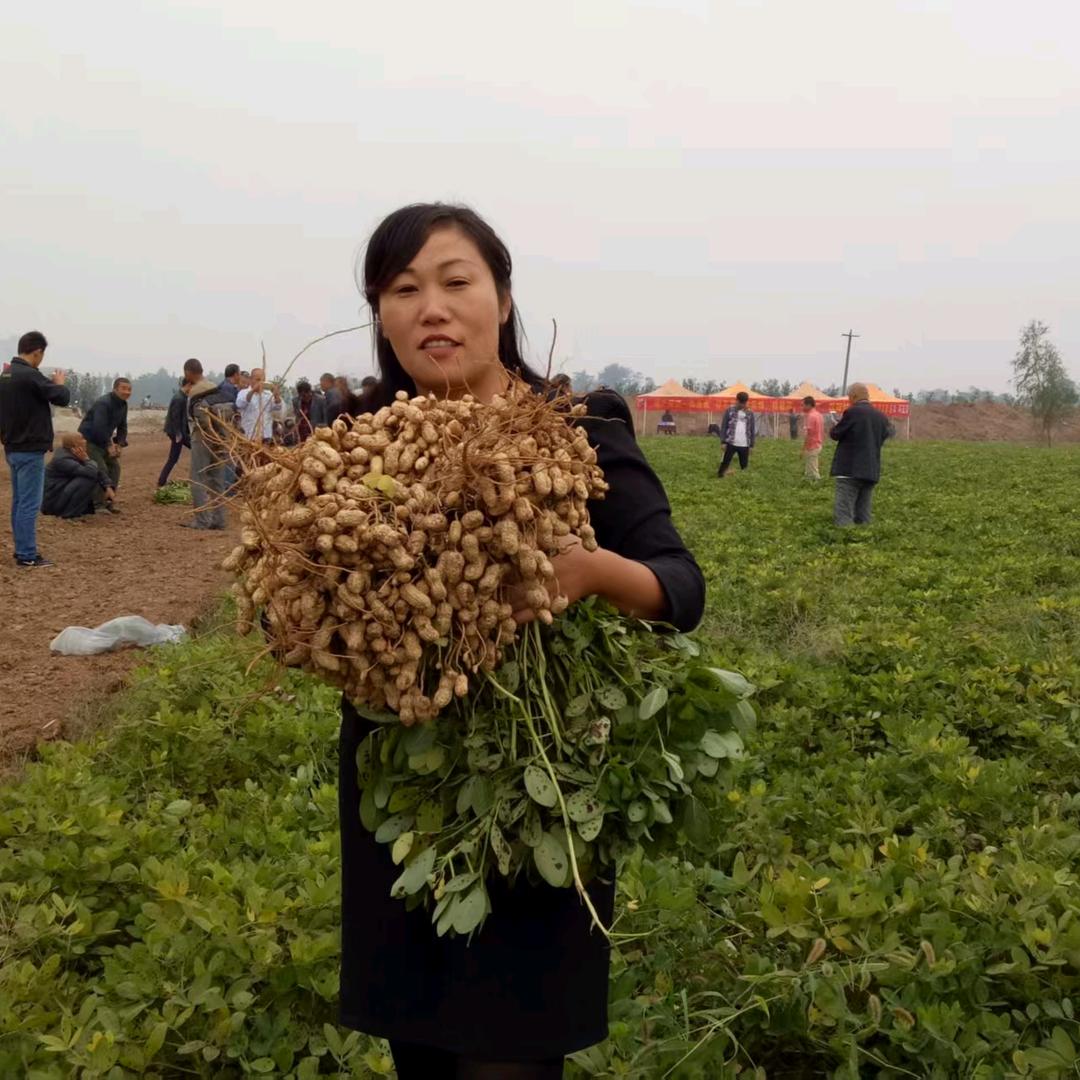 陈老师教你种好地(黄杏兰广中农资)