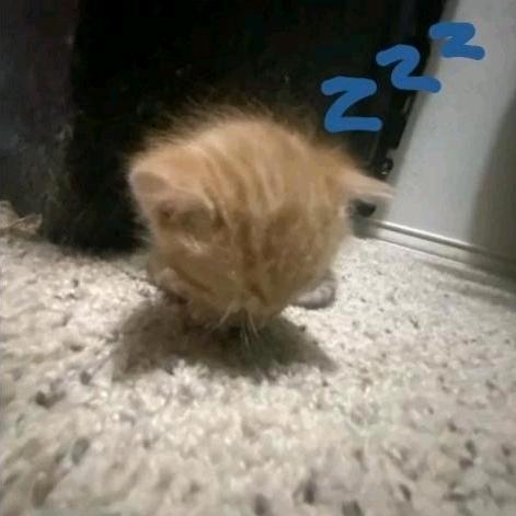 12.